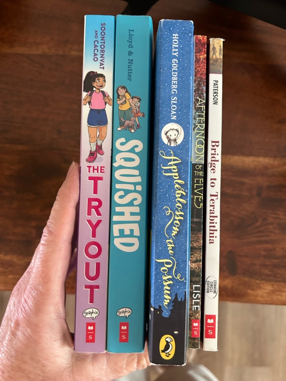Assortment of 5 Books For Summer Beach Reads for Girls